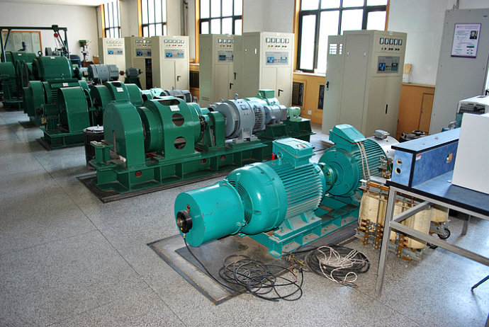 国营西培农场某热电厂使用我厂的YKK高压电机提供动力